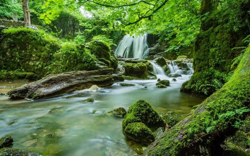 高端高端独特